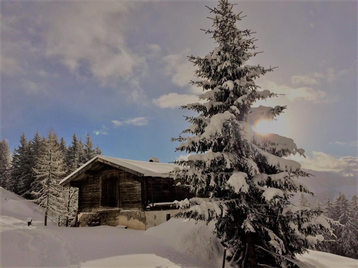 Doris' Nest Lägenhet Kitzbühel Exteriör bild
